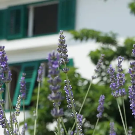 Mala Venecija House *
